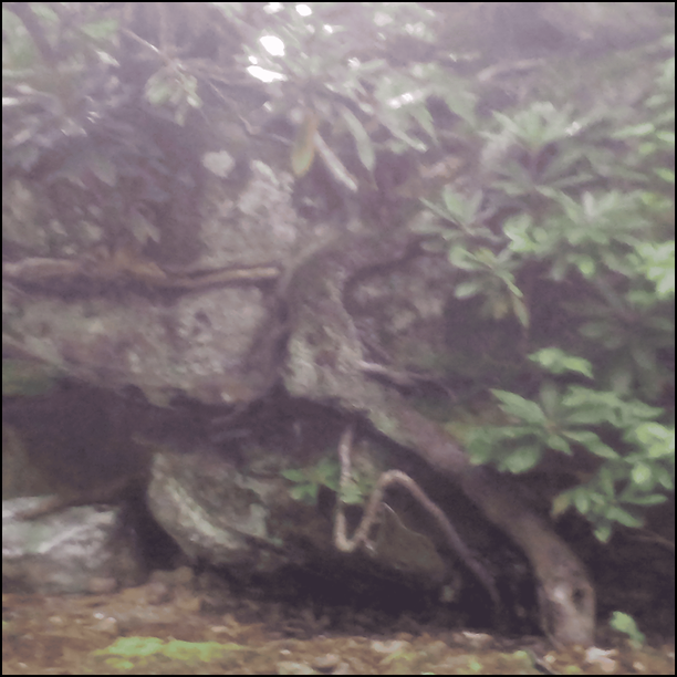 Interstellar Vacation Trips, Only $1999.99